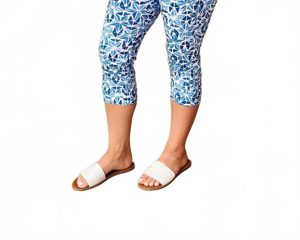 NEW CHARLIE B eloise pants in blue and white
